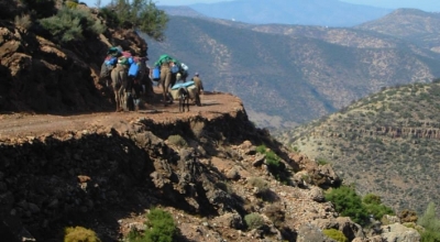 morocco horse riding