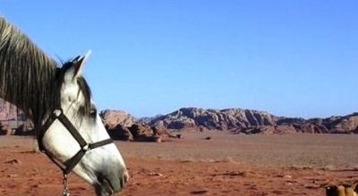 horseback riding in jordan