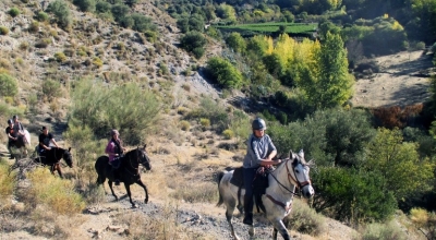 horse riding trip in andalusia