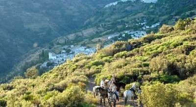 horse riding in andalusia