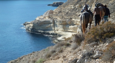 horse riding in andalusia