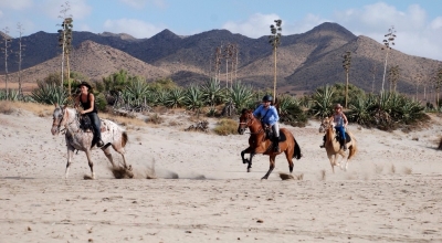 andalusia horse riding