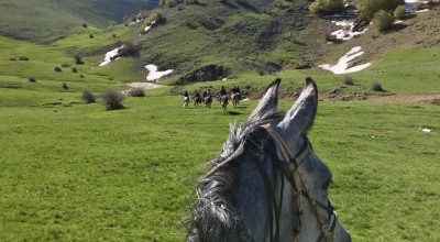 horse riding in sicily