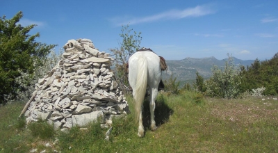 inn to inn horse riding trail ride in provence