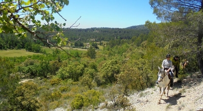 horseback riding holiday in provence