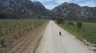 horseback ride in provence