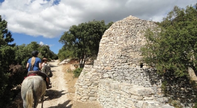 horse holiday in provence