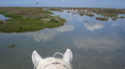 multi day horse riding in Provence