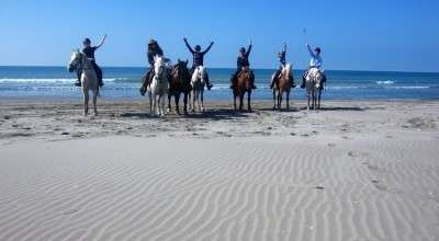 horse riding trip provence camargue