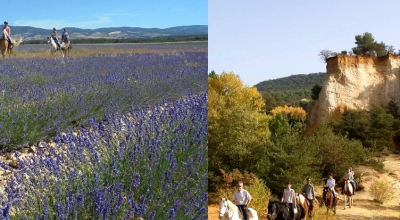 horseback riding in provence
