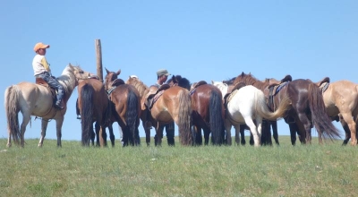 Mongolia : Horseback riding & nomadic transhumance
