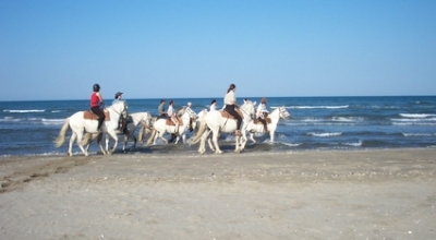 horse riding in camargue