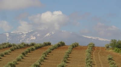 horseback riding trip in andalusia