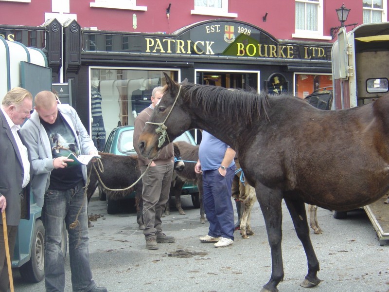 horse riding trip in Ireland