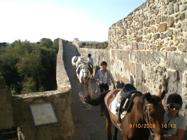 week horse riding in Italy