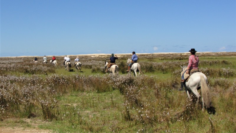 equestrian trek in Brazil