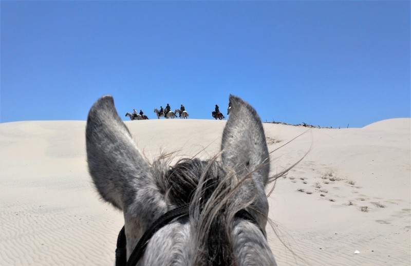 Brazil horse riding tour