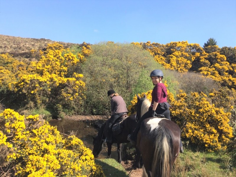 Visit Ireland horseback riding