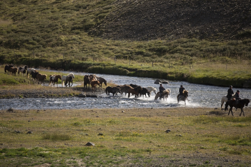 horse vacation in Mongolia