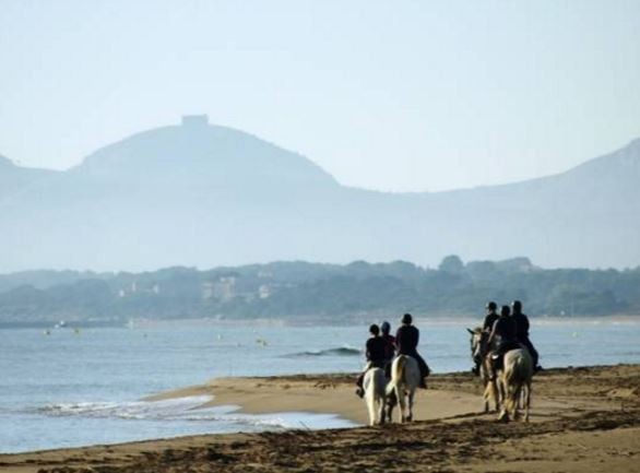 horseback riding in Spain