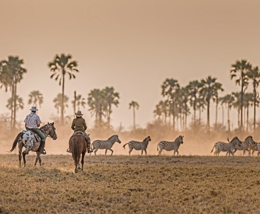 horseback riding safari