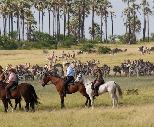 equestrian safari Botswana