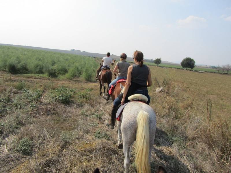 equestrian vacation in italy