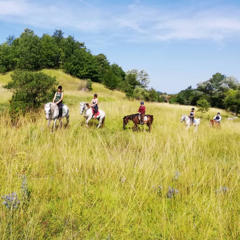 Horseback Trail Ride in CROATIA DALMATIAN HINTERLAND TRAIL Cap