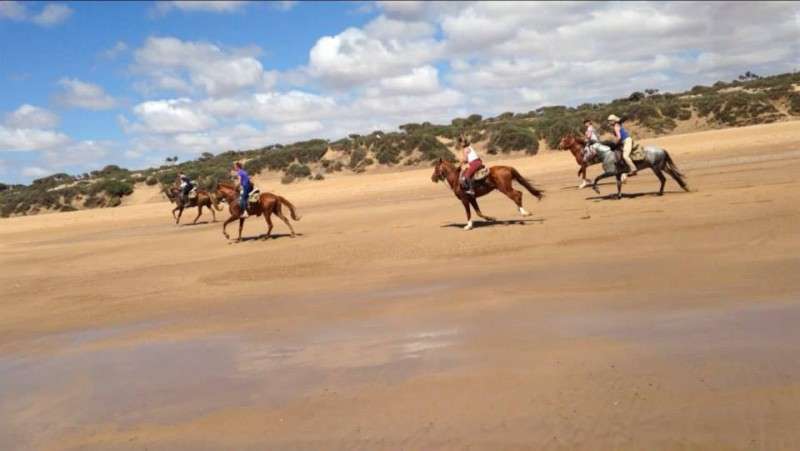 morocco horseback trail riding