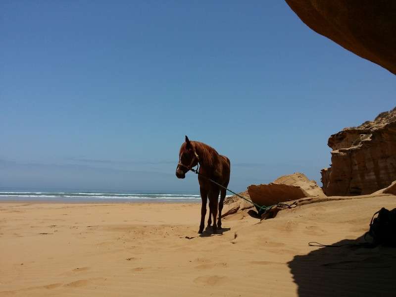 morocco horseback riding