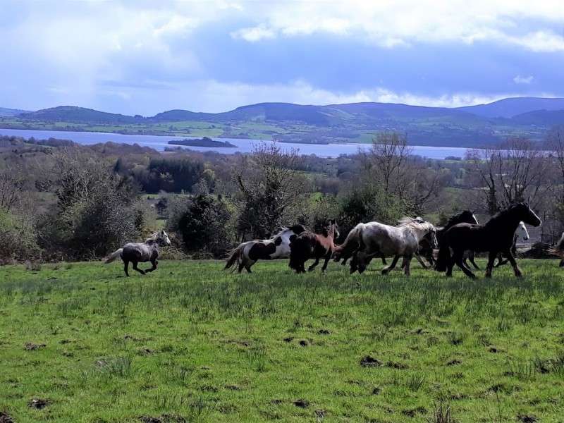 inn to inn horseback riding trail ride in ireland