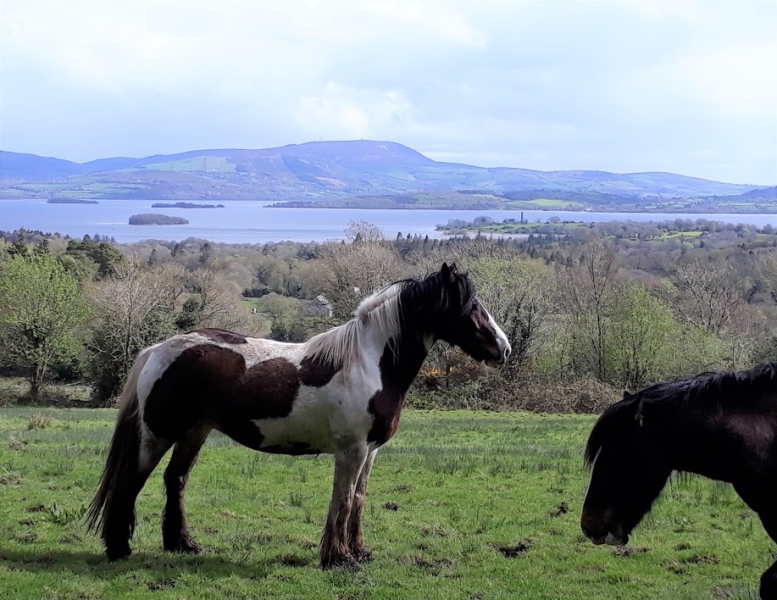 ireland horseback riding holiday