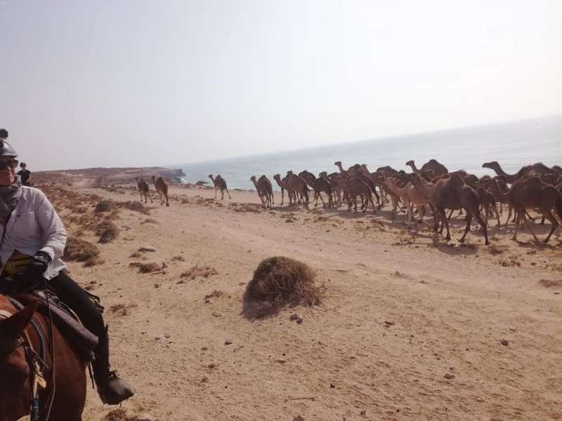 horseback riding trek in morocco
