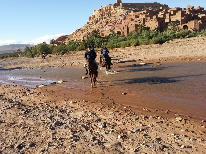 rando a cheval au maroc