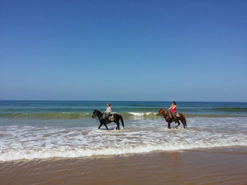 horse ride morocco