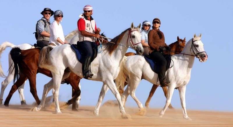 discover Oman horse riding