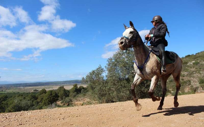 stationary horse riding in spain