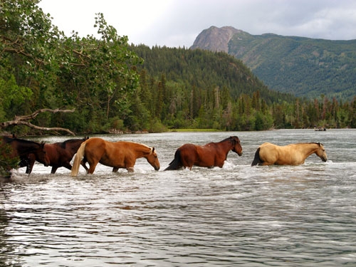 dude ranch in Canada