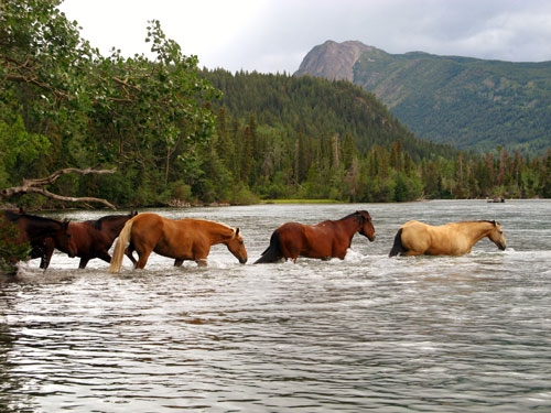 dude ranch in Canada