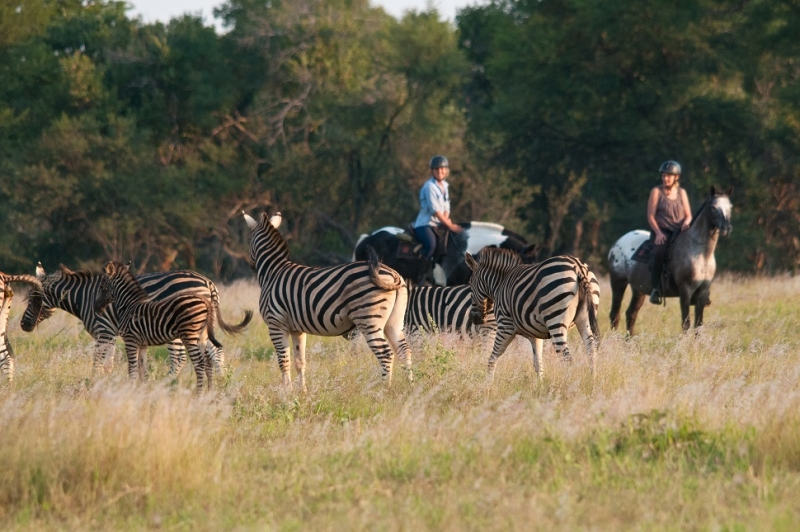 horseback riding safari