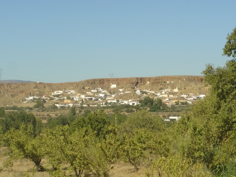 equestrian vacation in andalusia