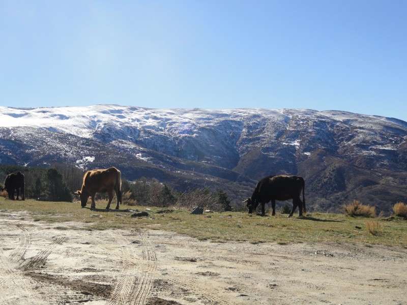 equestrian holiday in andalusia