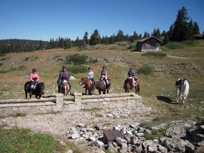 Discover France on horseback