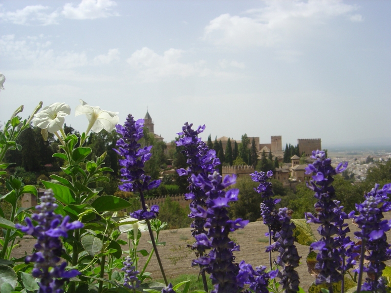 horseback trip andalusia