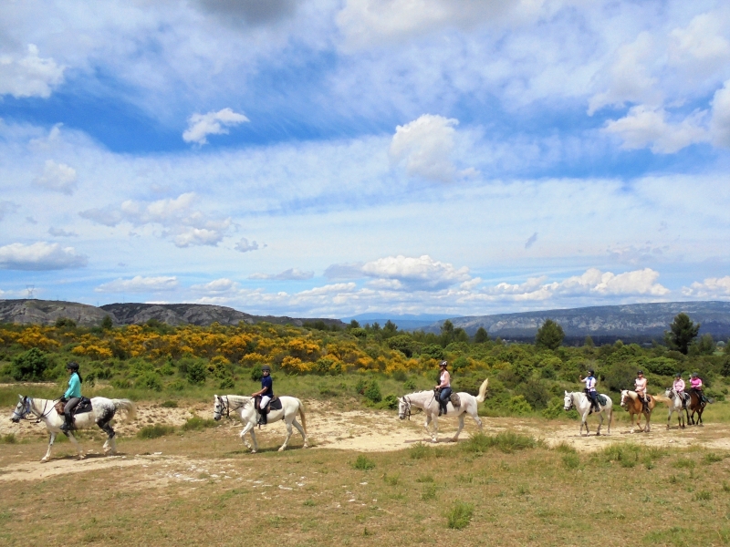 provence horseback riding