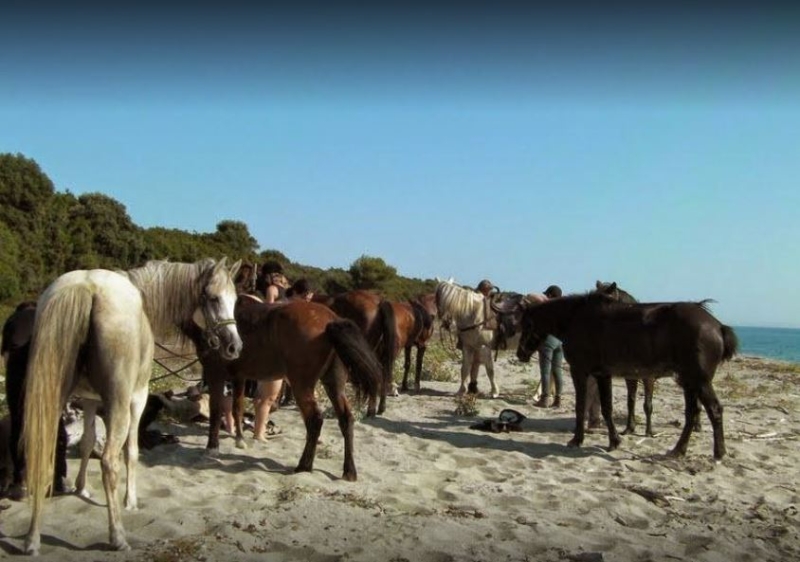 randonnee a cheval corse