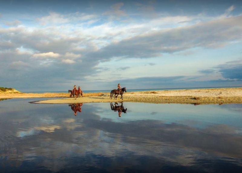 voyage cheval corse