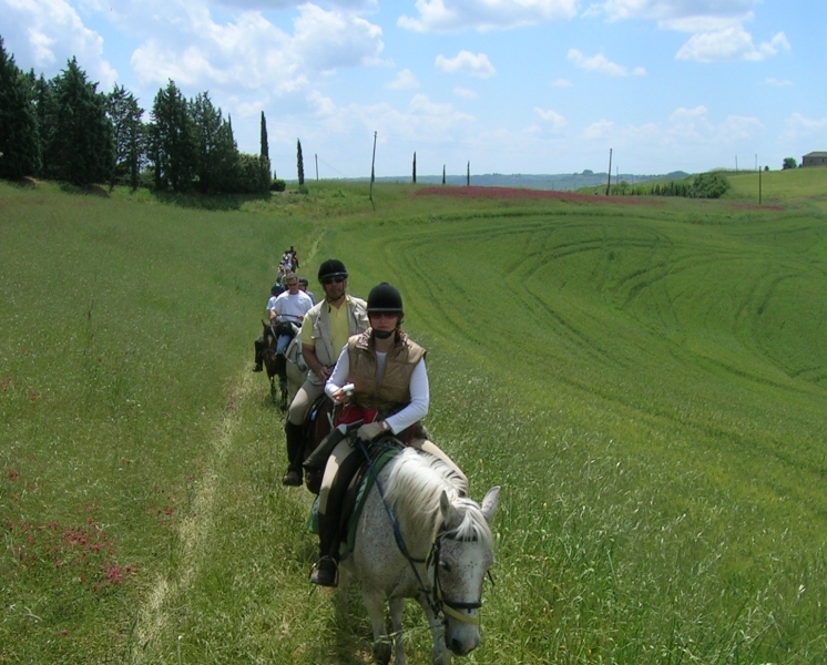 horseback traim ride in tuscany