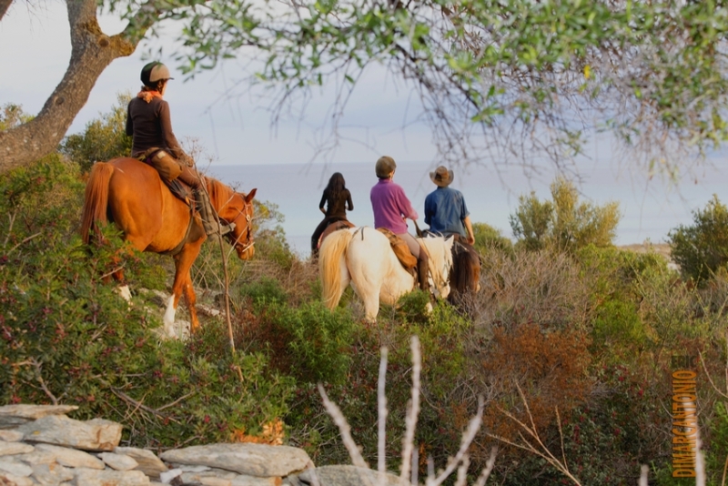 rando equestre en corse