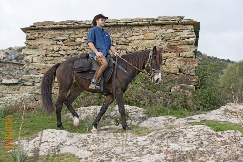 rando cheval en corse